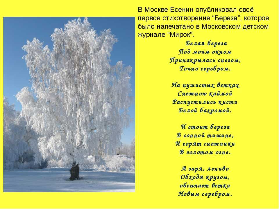 Образ родины в лирике с. есенина