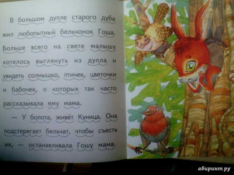 Сказка про бельчонка, который хотел спать рядом с папой - семейный сайт nсuxolog.ru