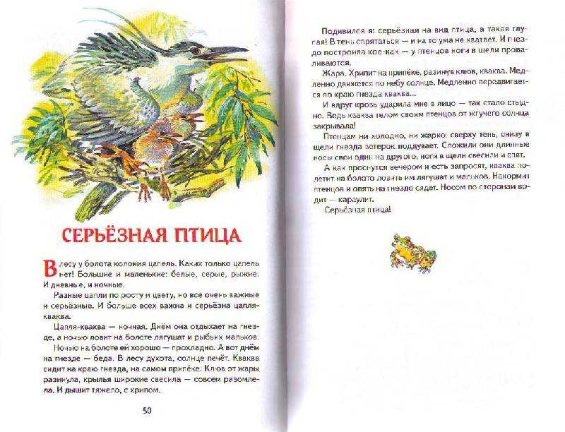 Николай сладков рассказы о природе
