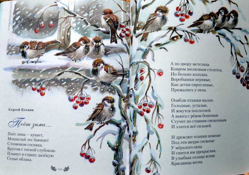 Стихи про зиму — подборка красивых и коротких стишков для детей