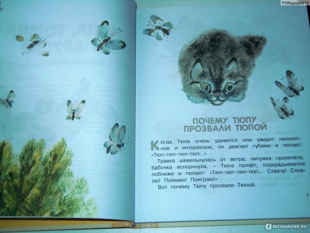 Евгений чарушин - тюпа, томка и сорока » книги читать онлайн бесплатно без регистрации