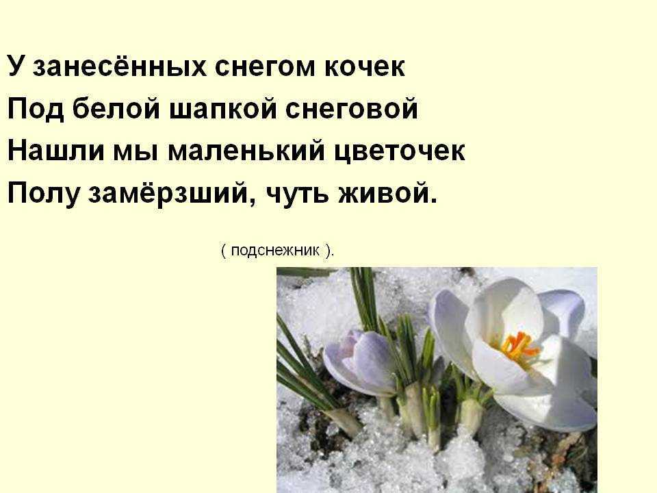 Загадки о весне с ответами – 147 интересных загадок – ladyvi.ru