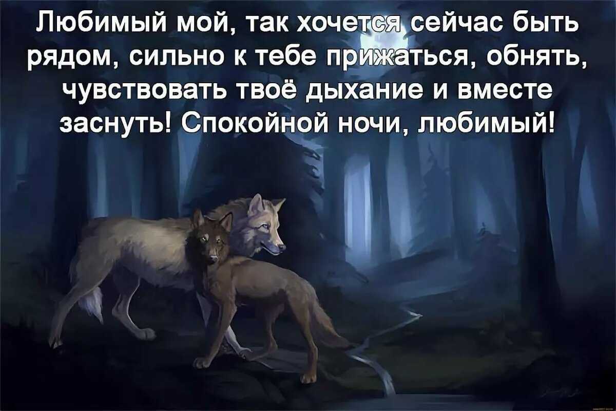 Пожелания спокойной ночи своими словами - проза