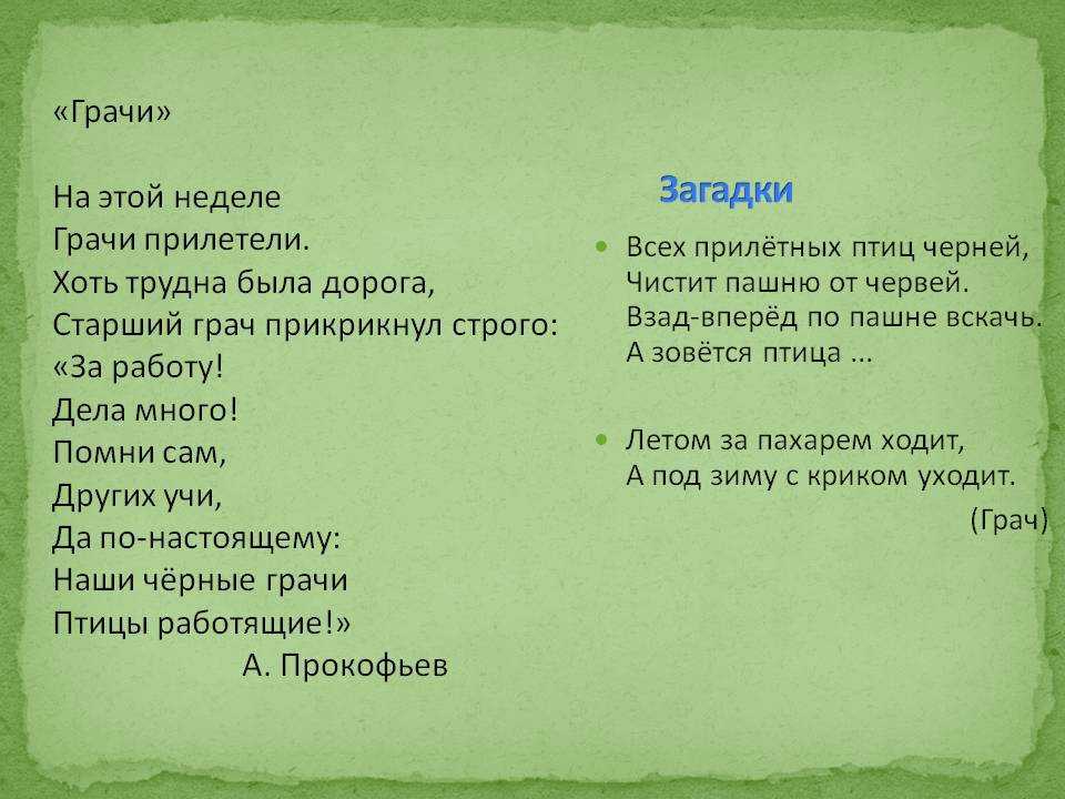 Загадки про птиц для детей — 130 крылатых загадок