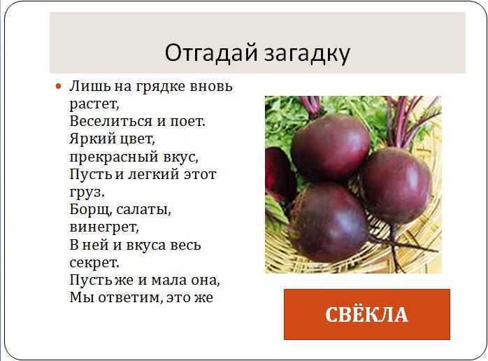 Загадки для детей 5-6-7 лет с ответами