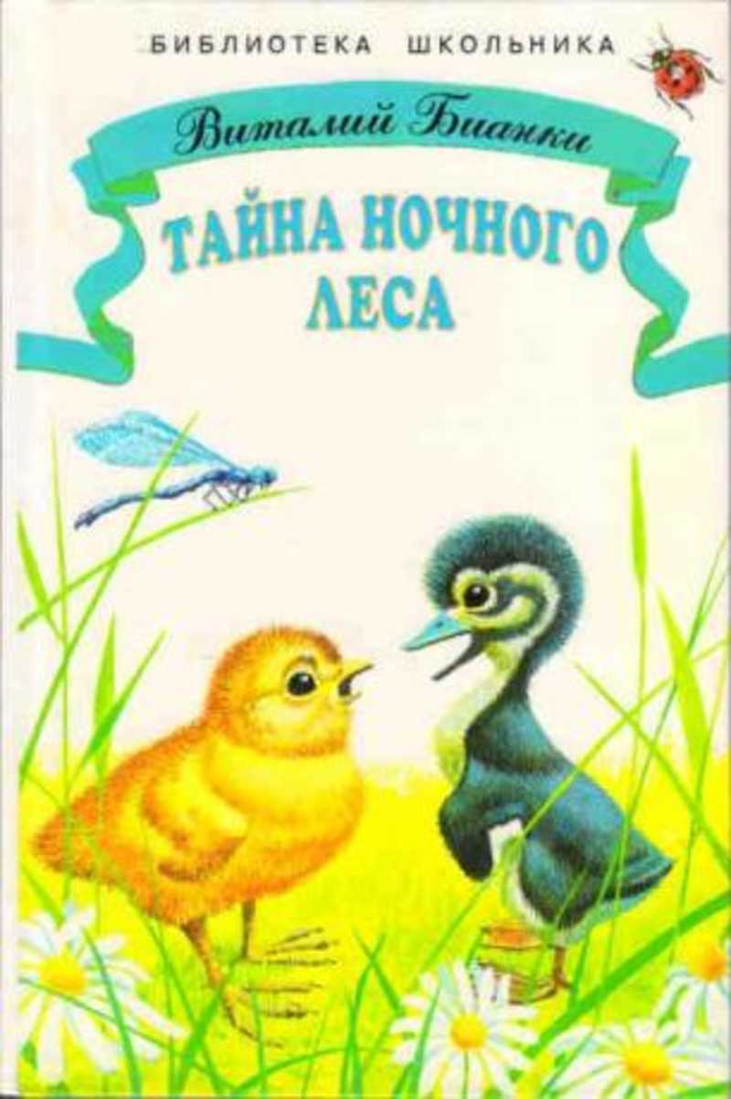 Тайна ночного леса