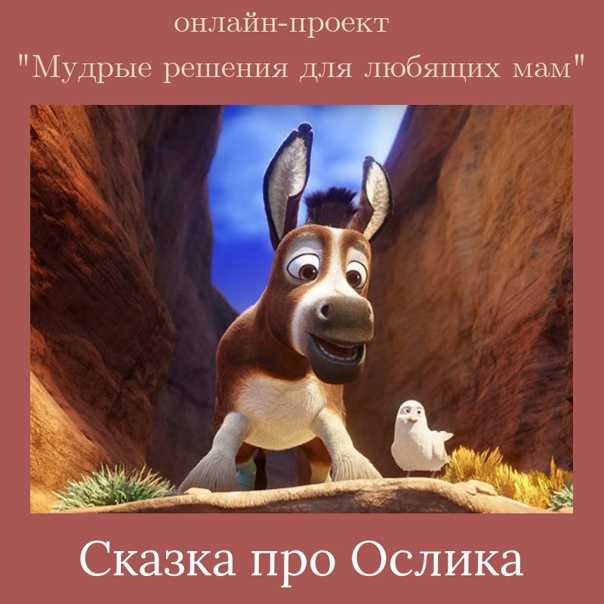 Цирковое представление (вьетнамская сказка) цирковое представление, сказки о животных для детей ребят малышей фото
