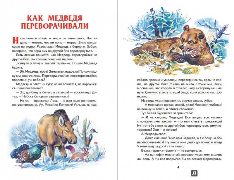 Лесные тайнички (осень) - николай сладков - страница 2 из 7 - stranakids.ru