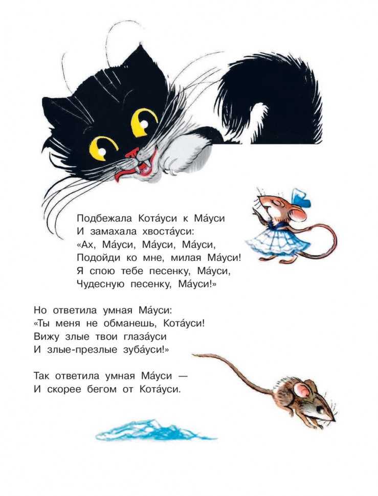 Котауси и мауси
