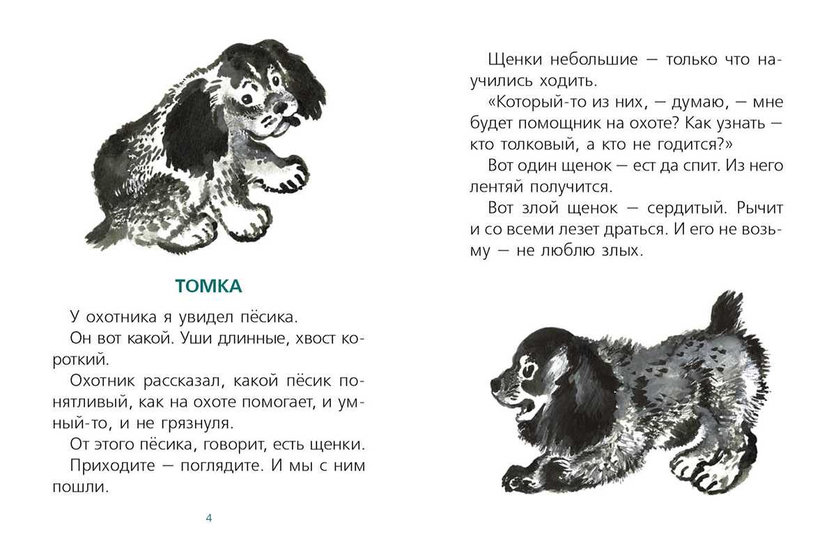 Е.и. чарушин «томкины сны