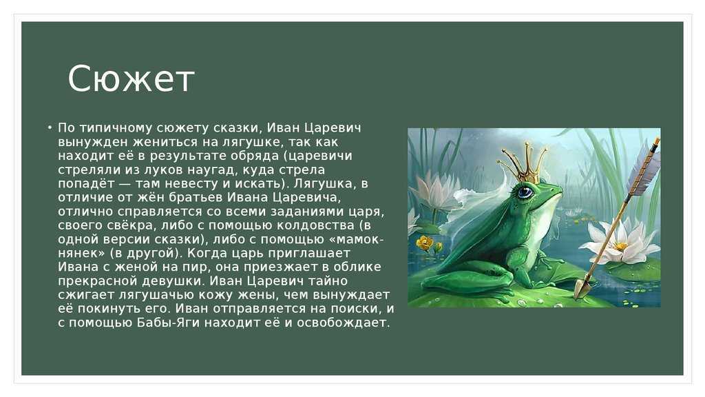 Пантелеев «две лягушки»
