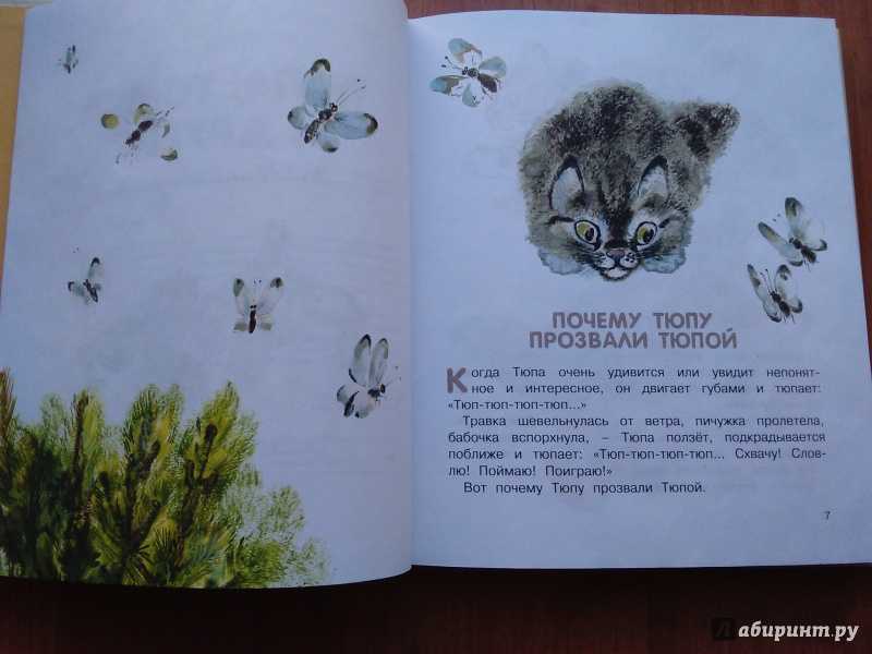 Читать сказку тюпа, томка и сорока - чарушин е. - отечественные писатели, онлайн бесплатно с иллюстрациями.