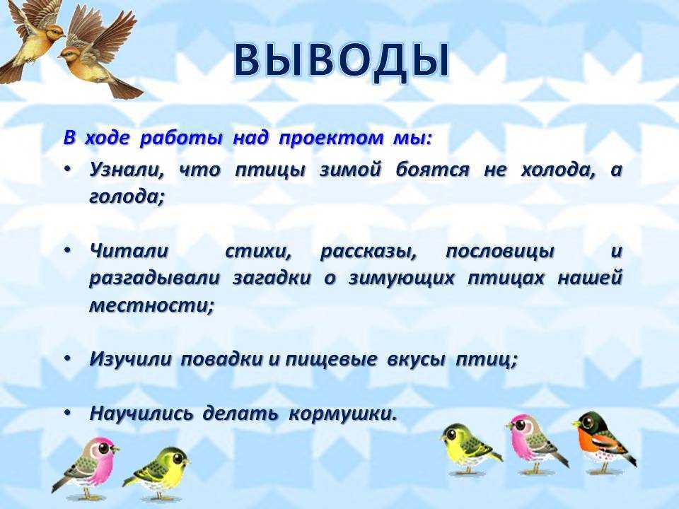 Загадки про птиц для детей с ответами: 235 лучших загадок про домашних, перелетных и зимующих птиц / mama66.ru