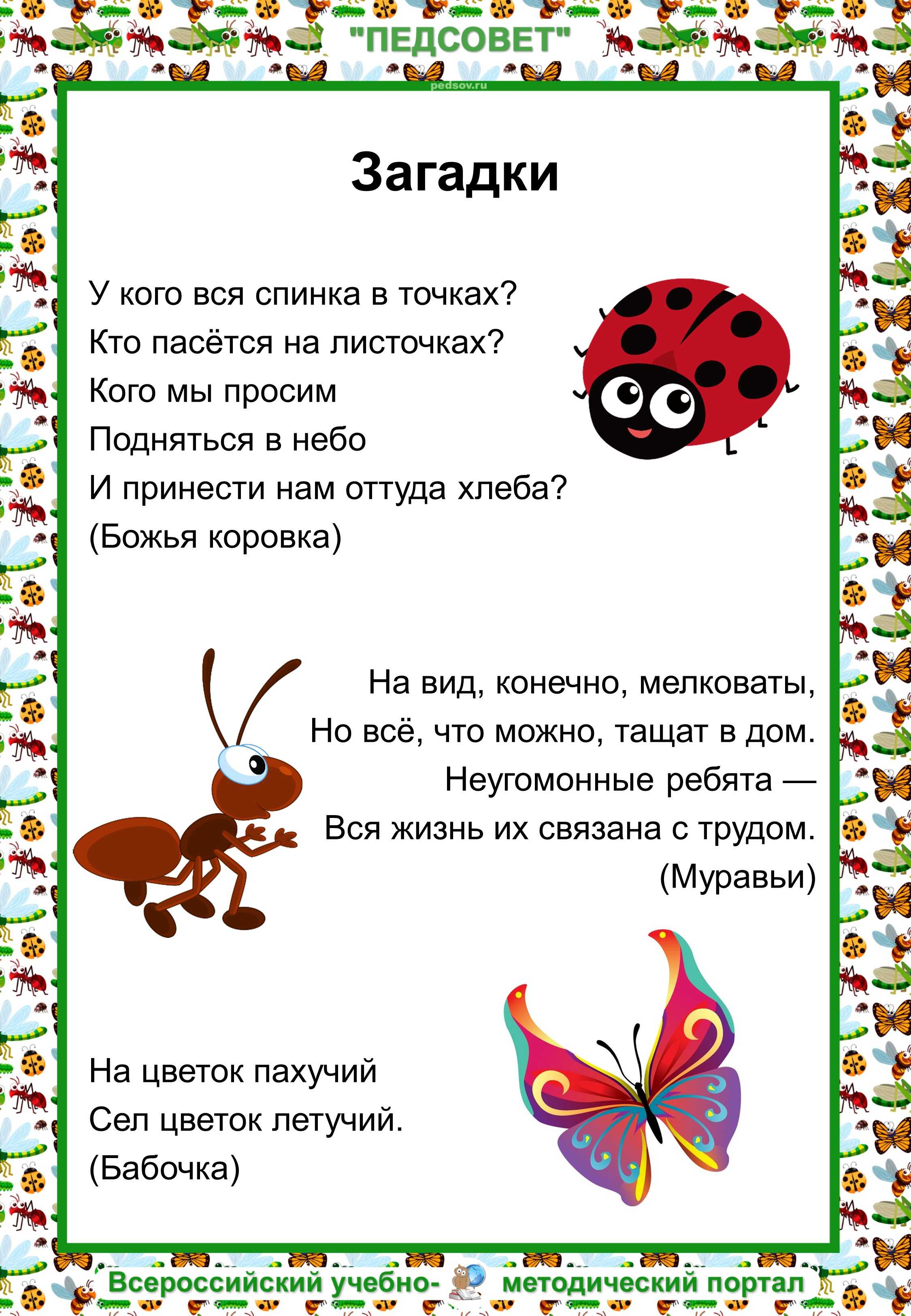 Загадки про насекомых в картинках