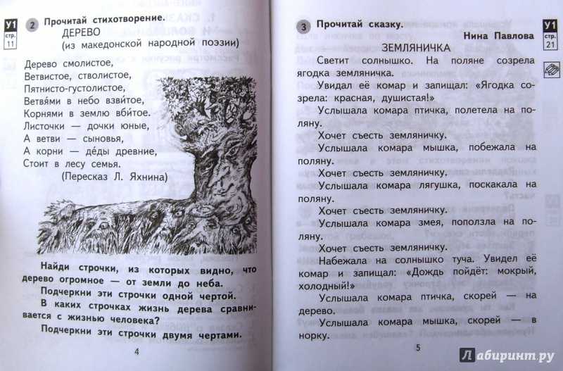 «спор деревьев» к. д. ушинский