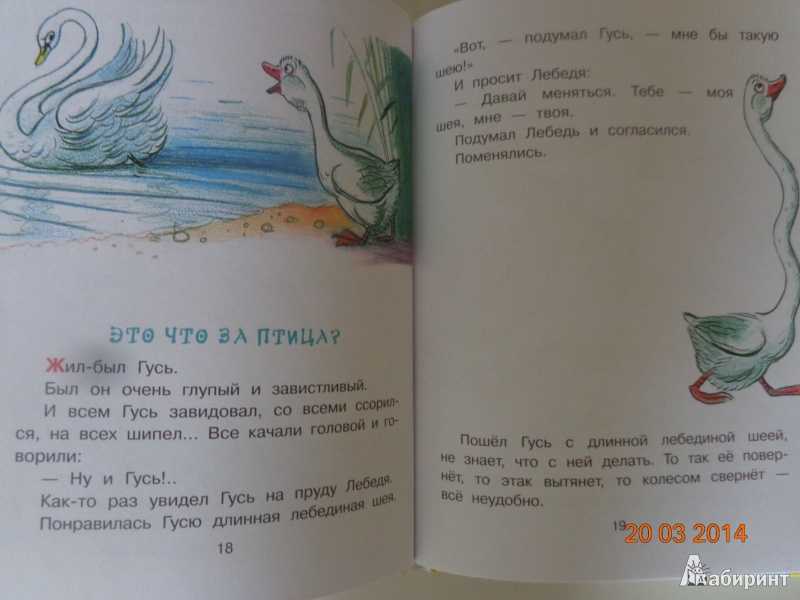 Это что за птица