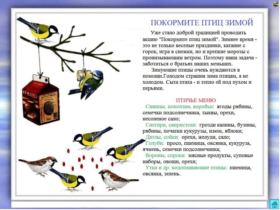 Загадки про птиц с ответами для 2-3 класса