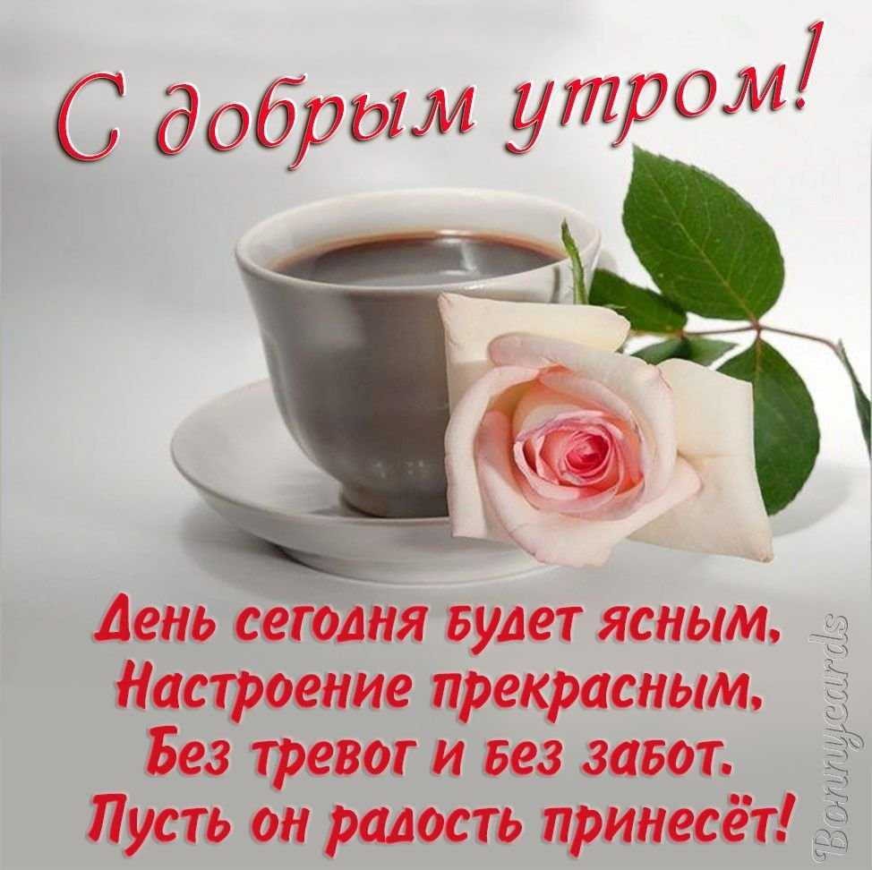 Нежные стихи любимой девушке с добрым утром