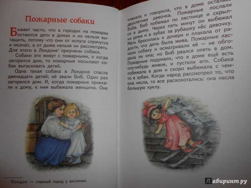 Сказка пожар написать отзыв л толстой. пожар — лев толстой