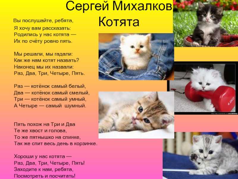 Михалков про котят стих с рисунком