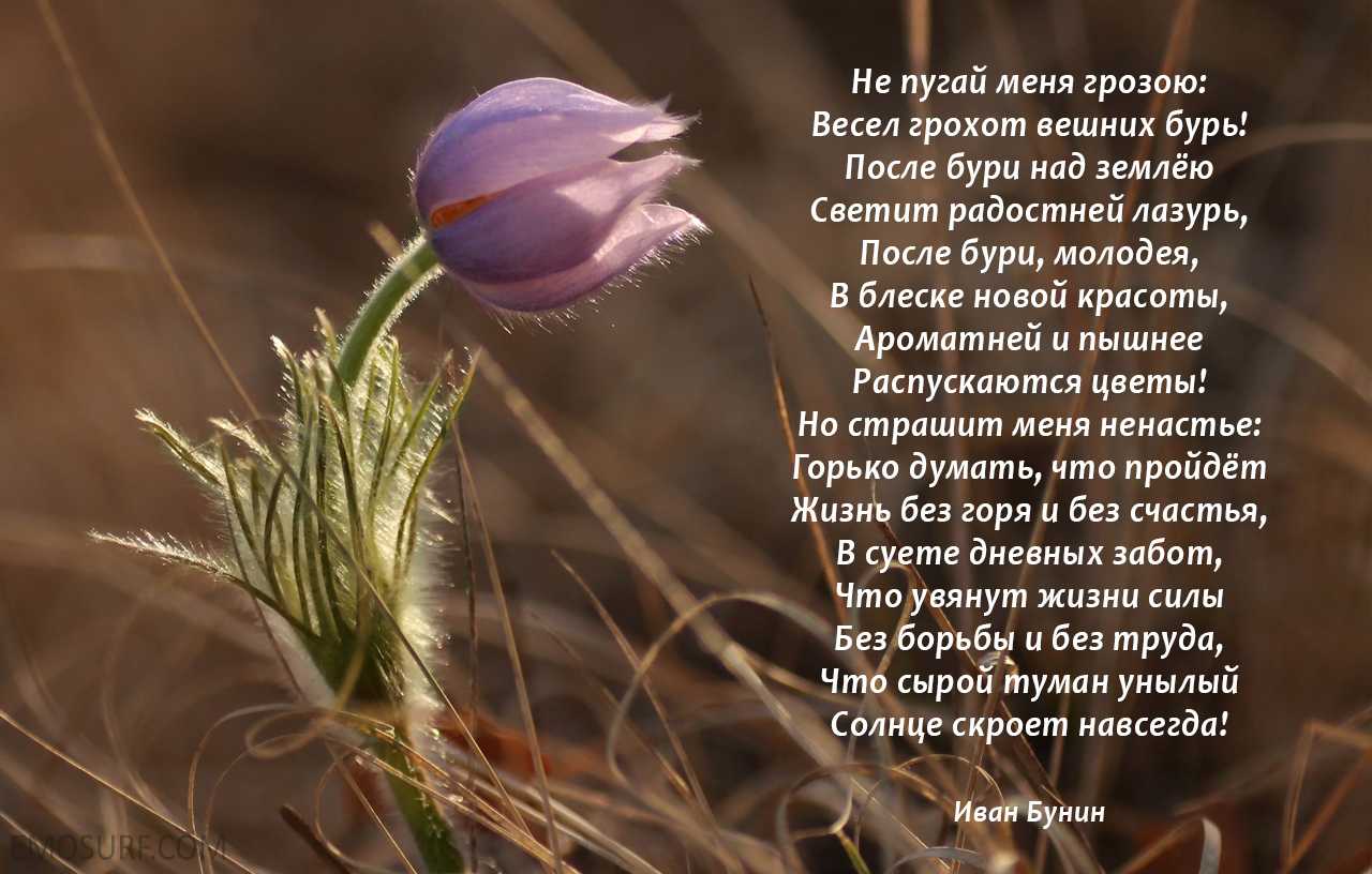 Стихи пушкина о весне | короткие стихи пушкина для детей, школьников 5 кл и взрослых