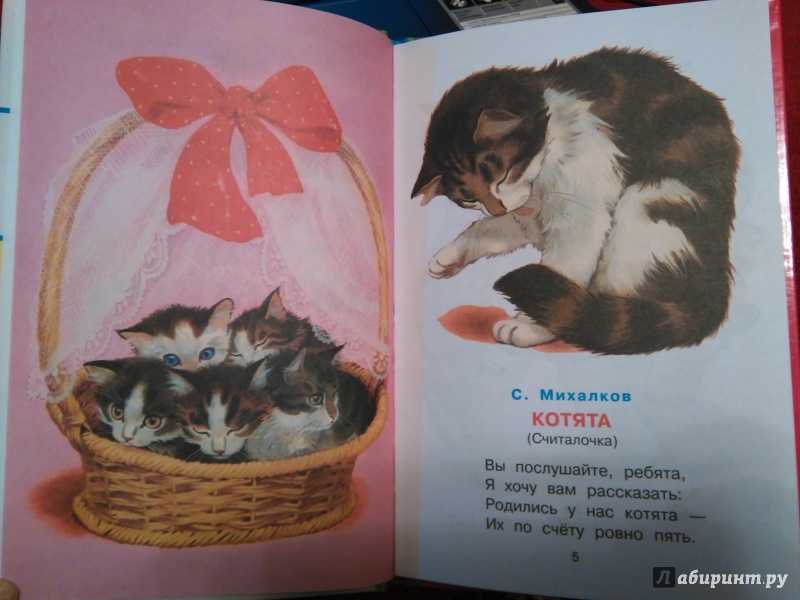 Стихи про котов и кошек для детей
