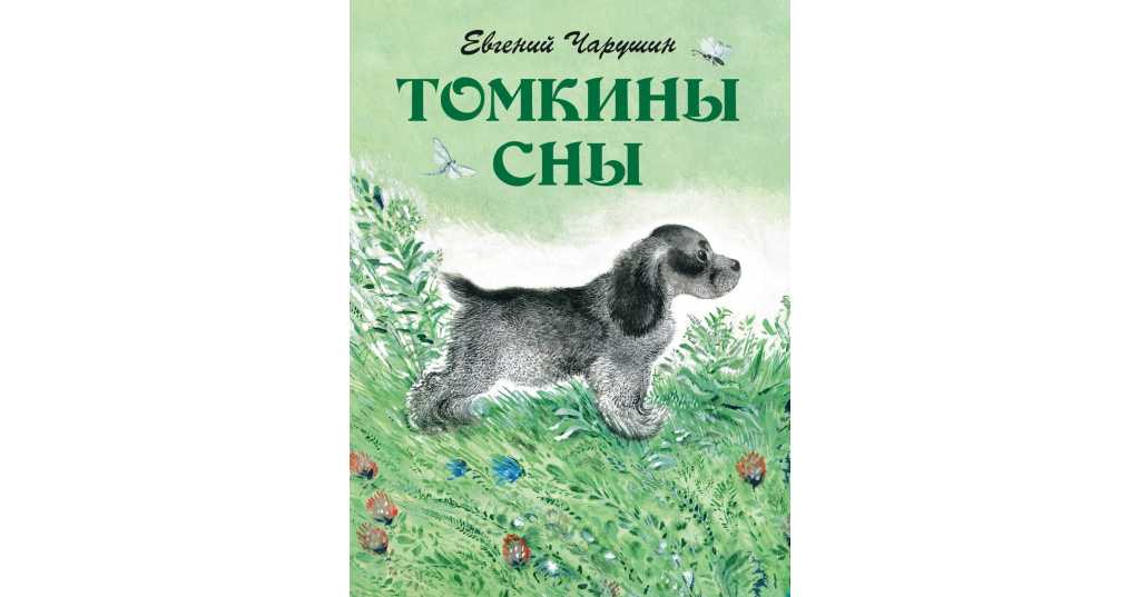 Чарушин никита и его друзья краткое. е.чарушин “никитка и его друзья” читать онлайн