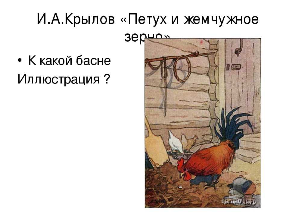 Петух и жемчужное зерно мораль. иван крылов — петух и жемчужное зерно (басня): стих. мораль басни петух и жемчужное зерно