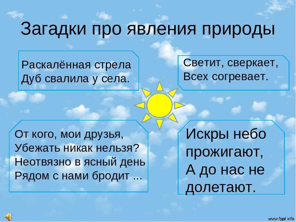 Загадки про ветер для детей: 70 лучших русских народных и современных загадок с ответами / mama66.ru