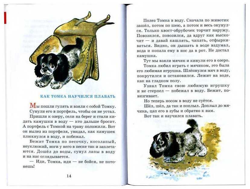 Про томку