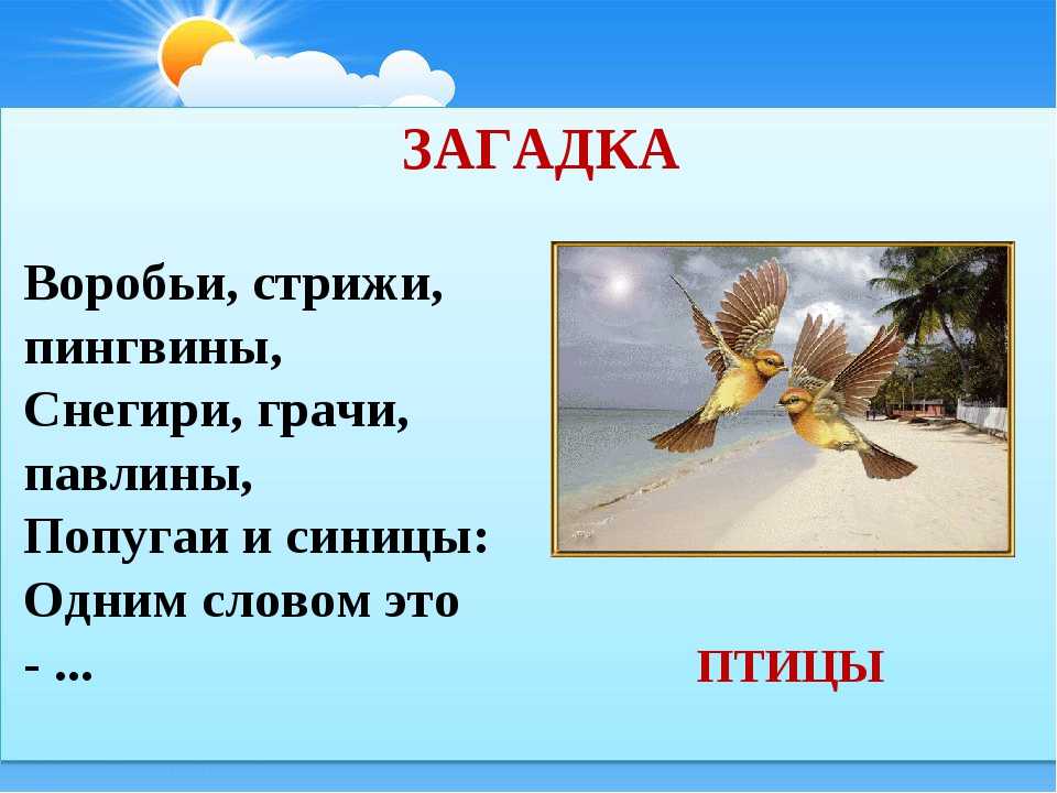 Загадки про птиц с ответами для 1-2 класса - детский час