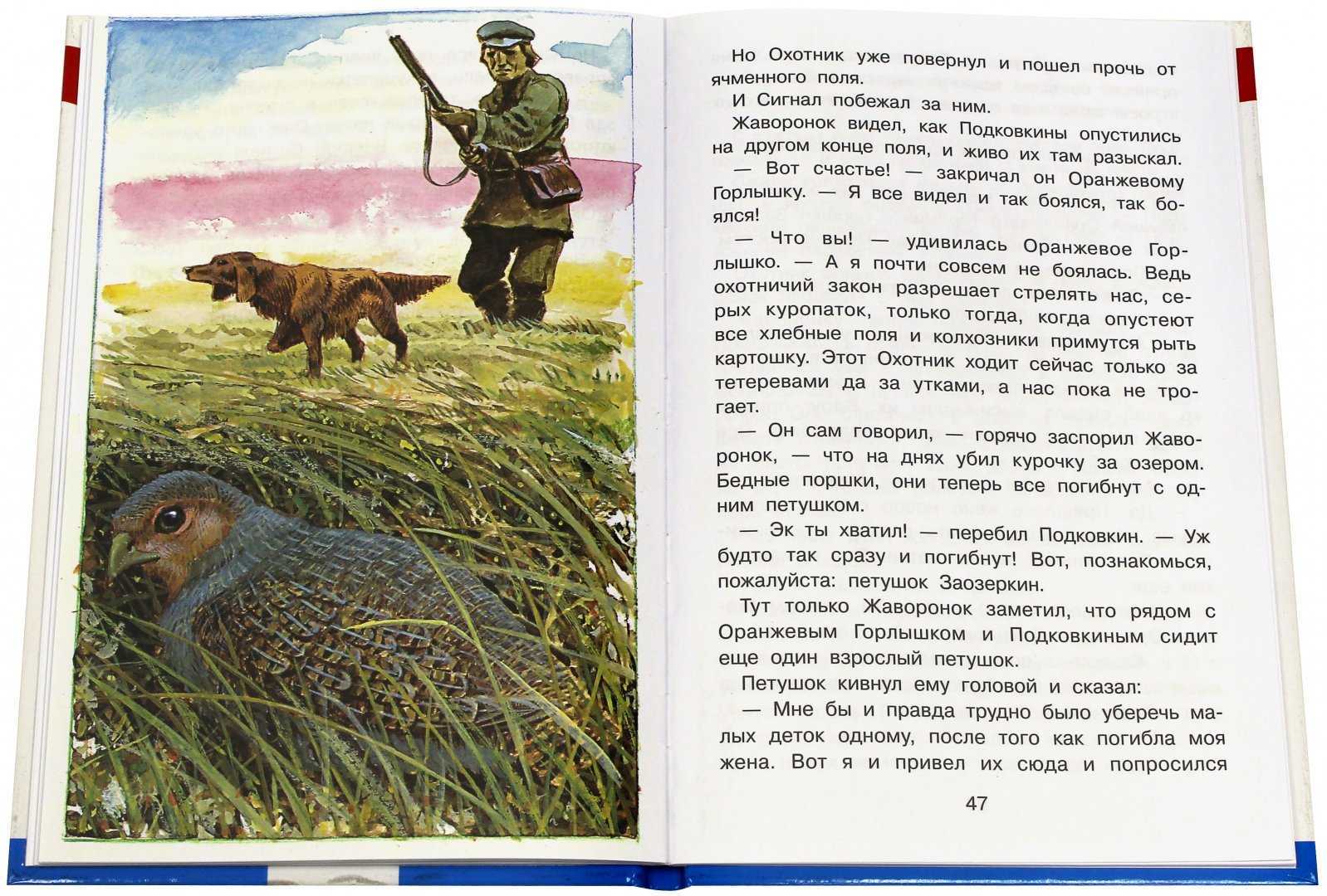 Тайна ночного леса • доброе лукошко