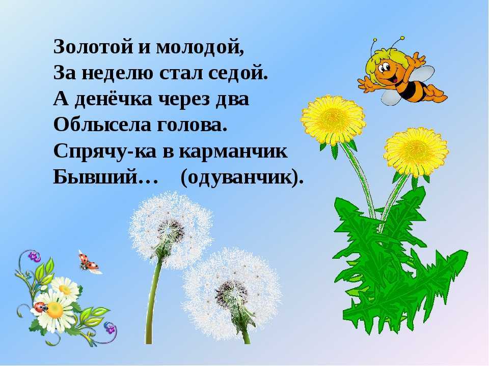 Загадка про солнце