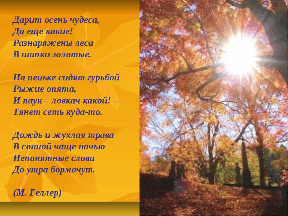 Душевные красивые стихи про осень