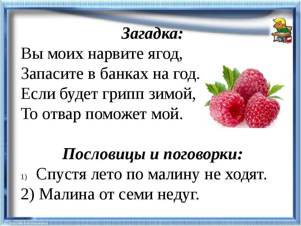 Загадки с ответами для детей про овощи, зелень, фрукты и ягоды