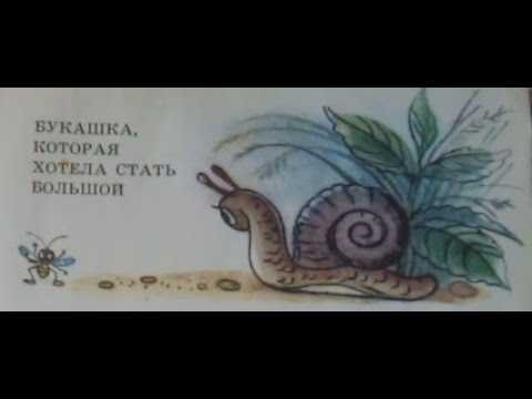 Букашка которая хотела стать большой - сказки пляцковского: читать с картинками, иллюстрациями - сказка dy9.ru