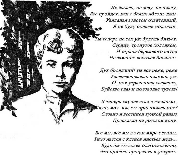 Сергей есенин — стихи о природе — litera.site — литературный сайт