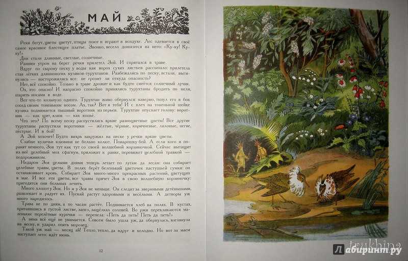 Зой и зоя скачать pdf книгу бианки виталий валентинович, читать онлайн
