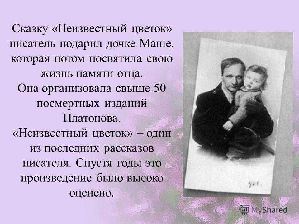 Анализ сказки «неизвестный цветок» (а.п. платонов) | литрекон