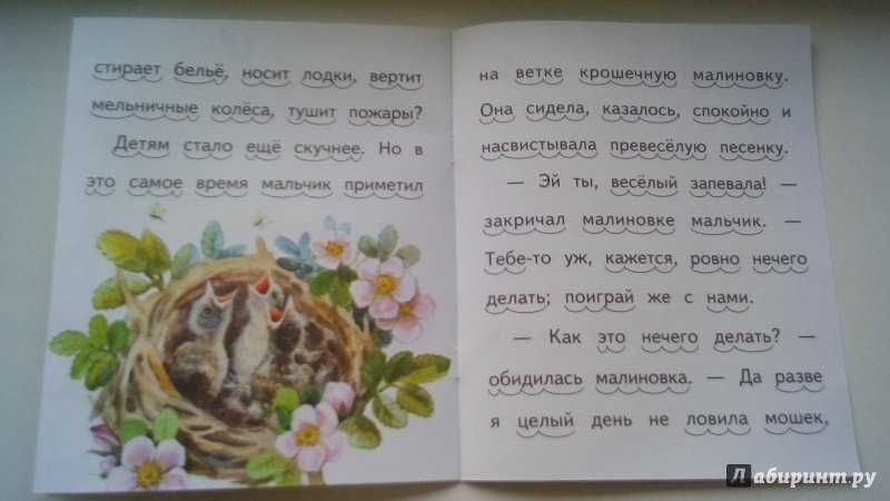 Дети в роще