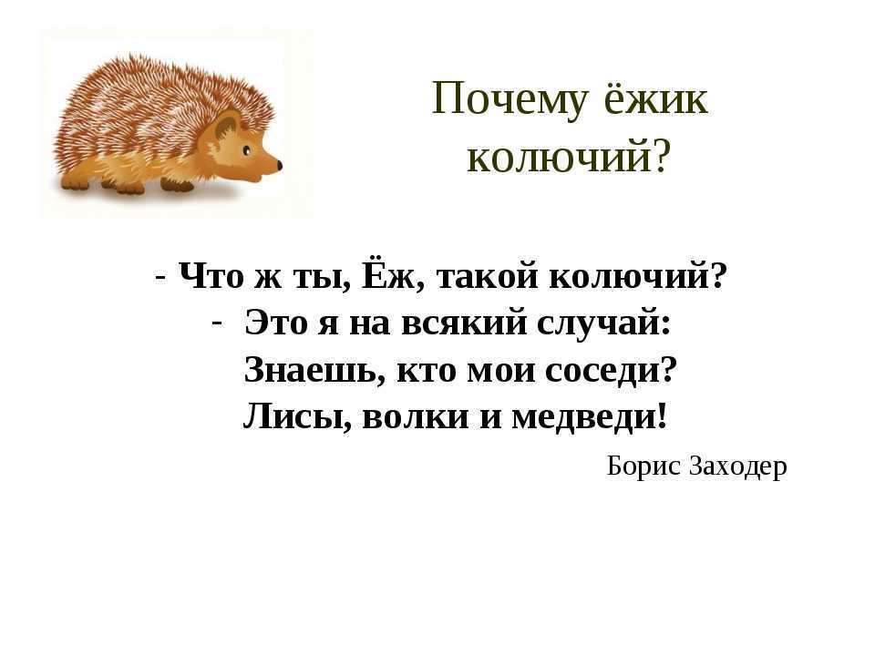 Стихи про школу для детей ―короткие, красивые, смешные, трогательные стихи про 1 класс, начальную школу, учителей