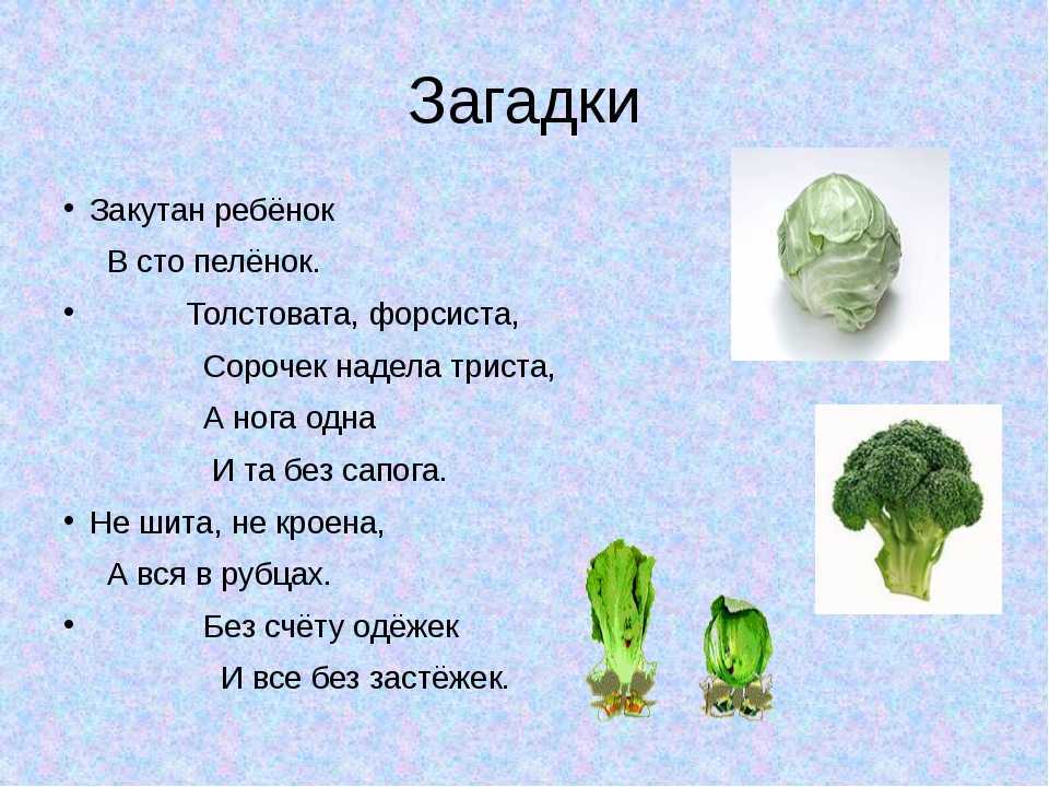 Загадки про фрукты и овощи для детей 6-7 лет с ответами