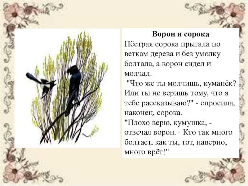Ворон и сорока. ушинский константин дмитриевич - сказки сунгиря
