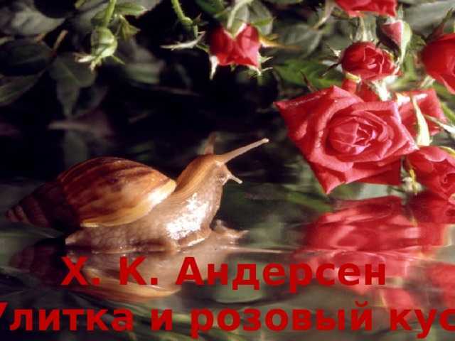 Андерсен ганс - калоши счастья. улитка и розовый куст. штопальная игла