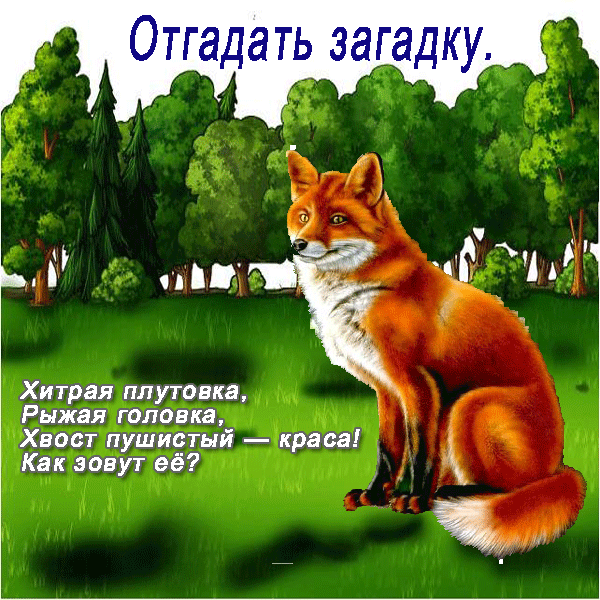 Загадки о лисе с ответами