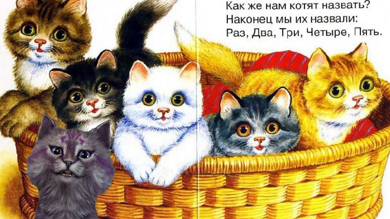 Трусливый тигр: сказка. о мышонке, который был кошкой, собакой и тигром храбрый мышонок и трусливый тигр
