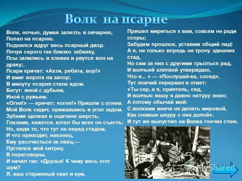 Волк на псарне