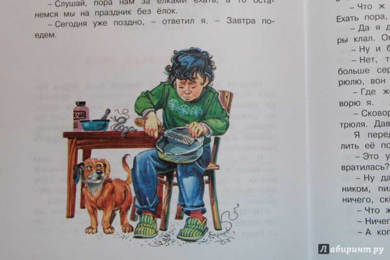 Бенгальские огни — николай носов — читать рассказ онлайн