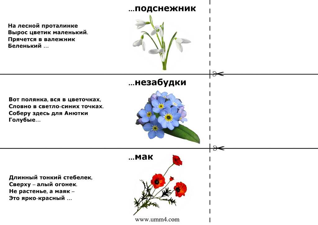 Загадки про цветы для детей с ответами - праздник сам