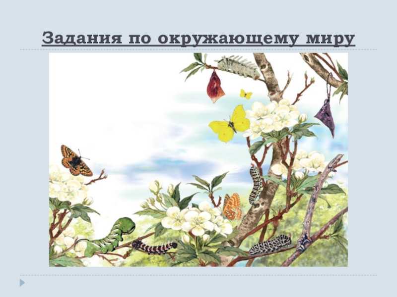 Валентина осеева: как сложилась судьба той самой динки